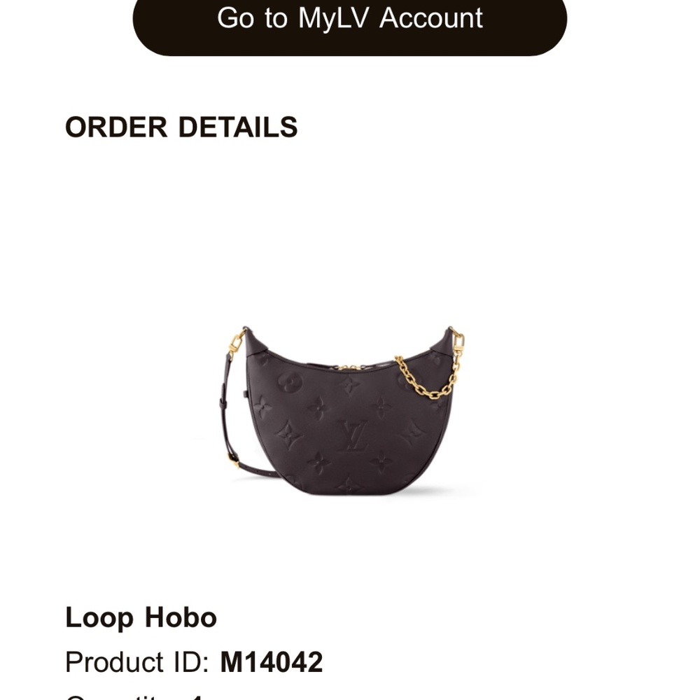 Loop Hobo Bag Louis Vuitton - Picture 9 of 9